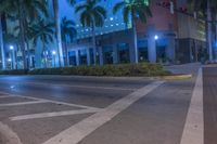 Vibrant Urban Landscape in Miami, Florida 005