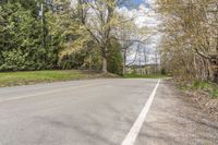 Vibrant Vegetation: A Road in Toronto