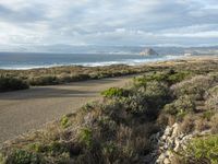 a view of the coast from the hillside on a cloudy day and two people with surfboards