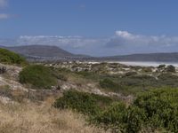 a view of an ocean from a trail near the beach and hills, surrounded by shrubs, and grass