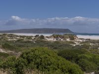 a view of an ocean from a trail near the beach and hills, surrounded by shrubs, and grass