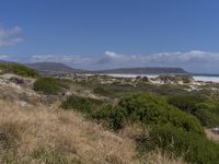 a view of an ocean from a trail near the beach and hills, surrounded by shrubs, and grass