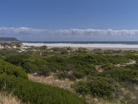 a view of an ocean from a trail near the beach and hills, surrounded by shrubs, and grass