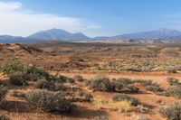 there is a view from the top of a mountain in the desert, with vegetation