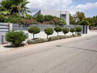 a street with a no tres sign and some shrubbery in the road and a building near it
