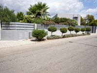 a street with a no tres sign and some shrubbery in the road and a building near it