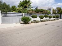 a street with a no tres sign and some shrubbery in the road and a building near it