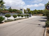 a street with a no tres sign and some shrubbery in the road and a building near it