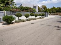 a street with a no tres sign and some shrubbery in the road and a building near it