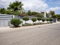 a street with a no tres sign and some shrubbery in the road and a building near it