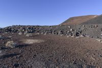 rocks and dirt are growing in the barren terrain of the land of a volcano, with rocks scattered around them