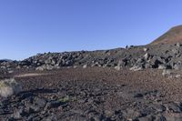 rocks and dirt are growing in the barren terrain of the land of a volcano, with rocks scattered around them