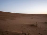 a lone person on a desert walking with a dog in hand with the sun setting behind them