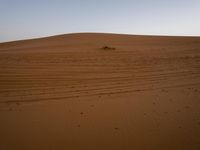 a lone person on a desert walking with a dog in hand with the sun setting behind them