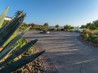 a walkway in a garden next to a large pool area with water features surrounding it