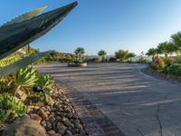 a walkway in a garden next to a large pool area with water features surrounding it