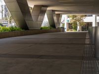 an image of a walkway that has many planters on it on the side of the road