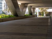 an image of a walkway that has many planters on it on the side of the road