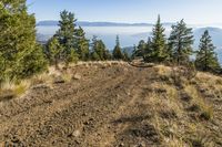 A Water and Dirt Path in the Canadian Wilderness