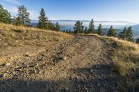 A Water and Dirt Path in the Canadian Wilderness