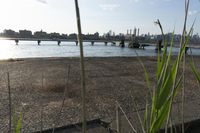 Cityscape of New York City with Water Resources and Urban landscape