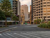 an empty city street with tall buildings in the background and signs at the end of it