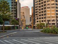 an empty city street with tall buildings in the background and signs at the end of it