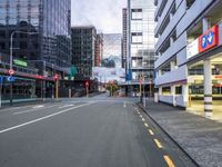 City Life in Wellington, New Zealand