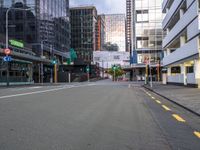 City Life in Wellington, New Zealand