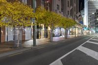 a city street that has trees at night with buildings in the background, and lights lit on