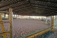 a view of an indoor riding arena from inside a house or barn to the ground