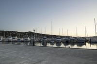 Wellington Harbor at Dawn: Clear Sky and Calm Water