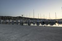 Wellington Harbor at Dawn: Clear Sky and Calm Water