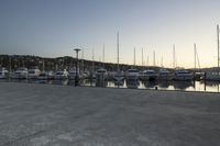 Wellington Harbor at Dawn: Clear Sky and Calm Water