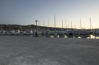 Wellington Harbor at Dawn: Clear Sky and Calm Water