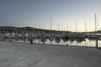 Wellington Harbor at Dawn: Clear Sky and Calm Water