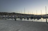 Wellington Harbor at Dawn: Clear Sky and Calm Water
