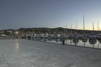 Wellington Harbor at Dawn: Clear Sky and Calm Water