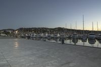 Wellington Harbor at Dawn: Clear Sky and Calm Water
