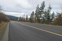 West Kelowna: Tree-Lined Road, British Columbia 002