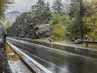 a wet asphalt road in the forest, with rock walls to the side and a man riding a bicycle in the background