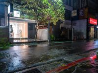 a wet city street at night and some cars parked under a tree on the side