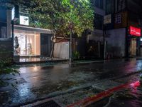 a wet city street at night and some cars parked under a tree on the side