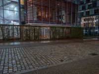 Wet Cobblestone Road in Berlin at Night