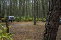 two cars and a truck are parked near a forest path and trees and dirt ground