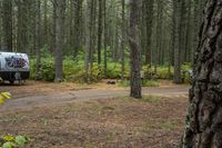 two cars and a truck are parked near a forest path and trees and dirt ground