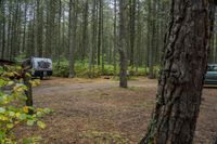 two cars and a truck are parked near a forest path and trees and dirt ground