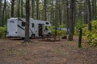 two motorhome tents set up next to picnic benches in the woods of an rv park