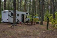 two motorhome tents set up next to picnic benches in the woods of an rv park