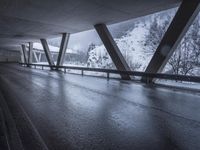 Wet Road in Germany: A Monochromatic Bridge